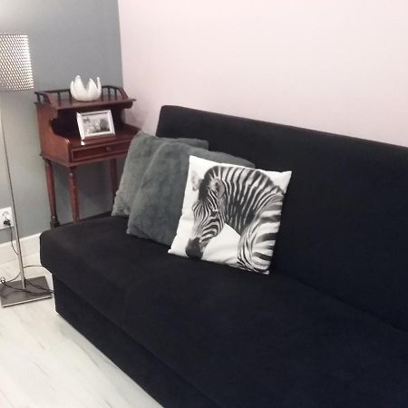 Vintage - Rose Apartament Torun Bagian luar foto