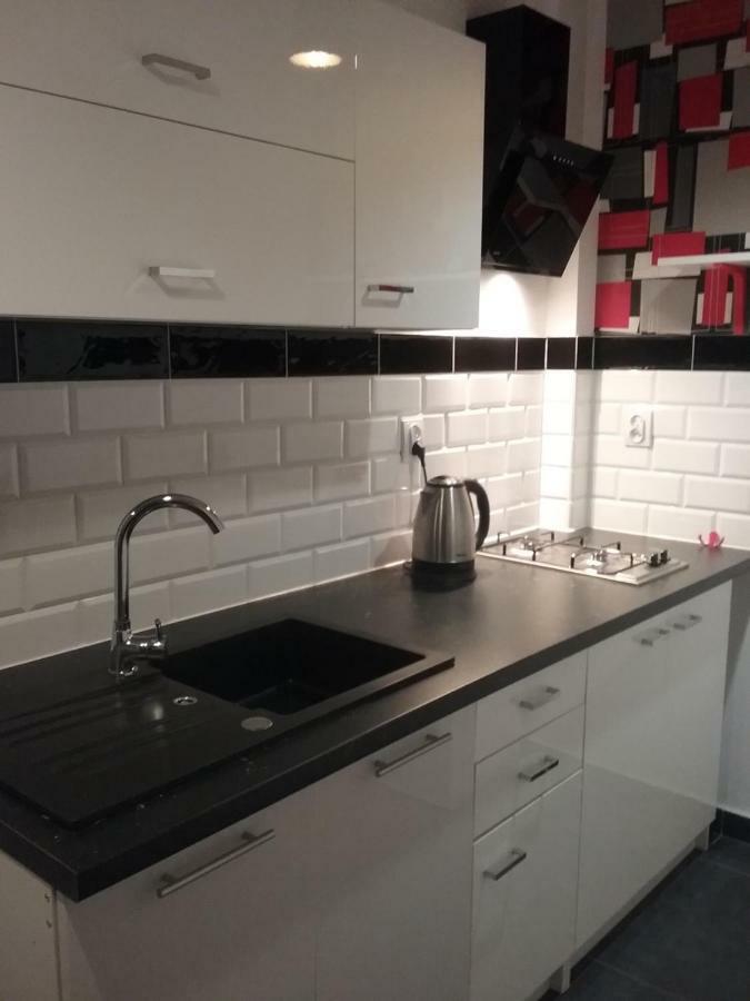 Vintage - Rose Apartament Torun Bagian luar foto