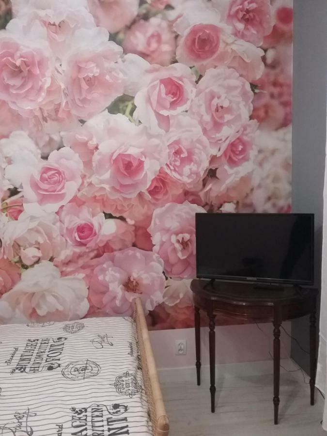Vintage - Rose Apartament Torun Bagian luar foto