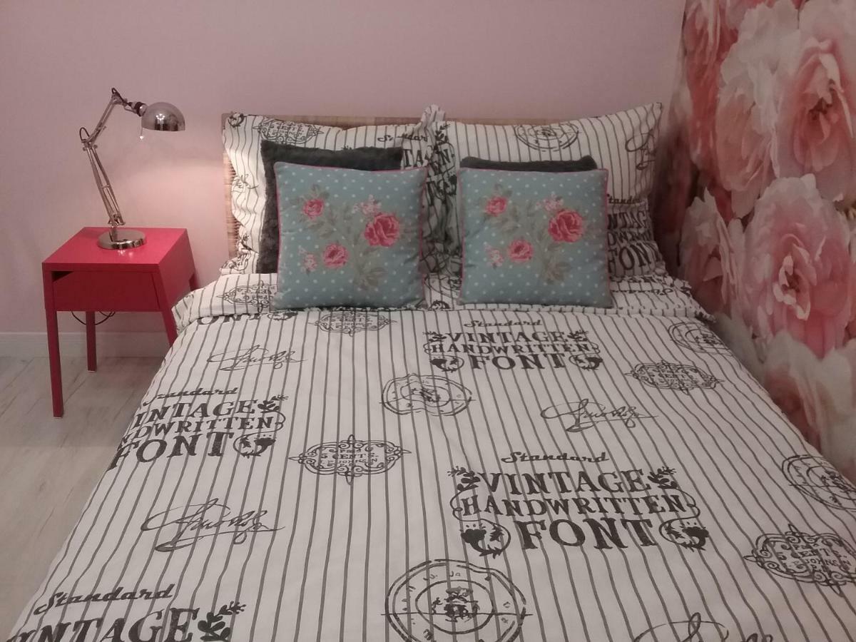 Vintage - Rose Apartament Torun Bagian luar foto
