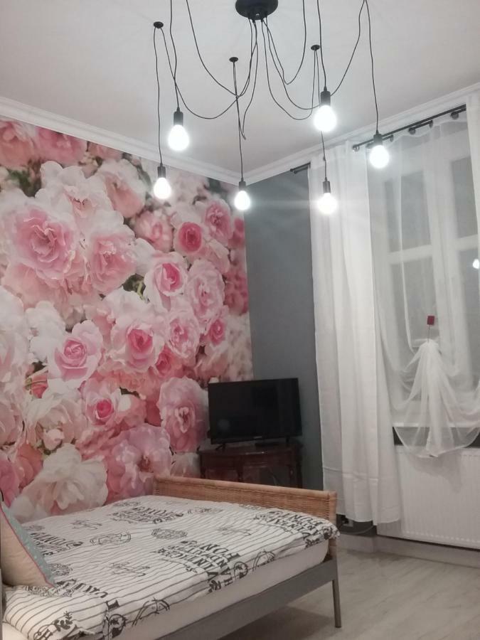 Vintage - Rose Apartament Torun Bagian luar foto