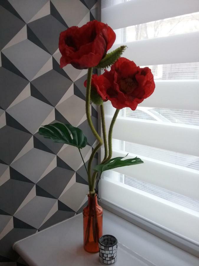 Vintage - Rose Apartament Torun Bagian luar foto