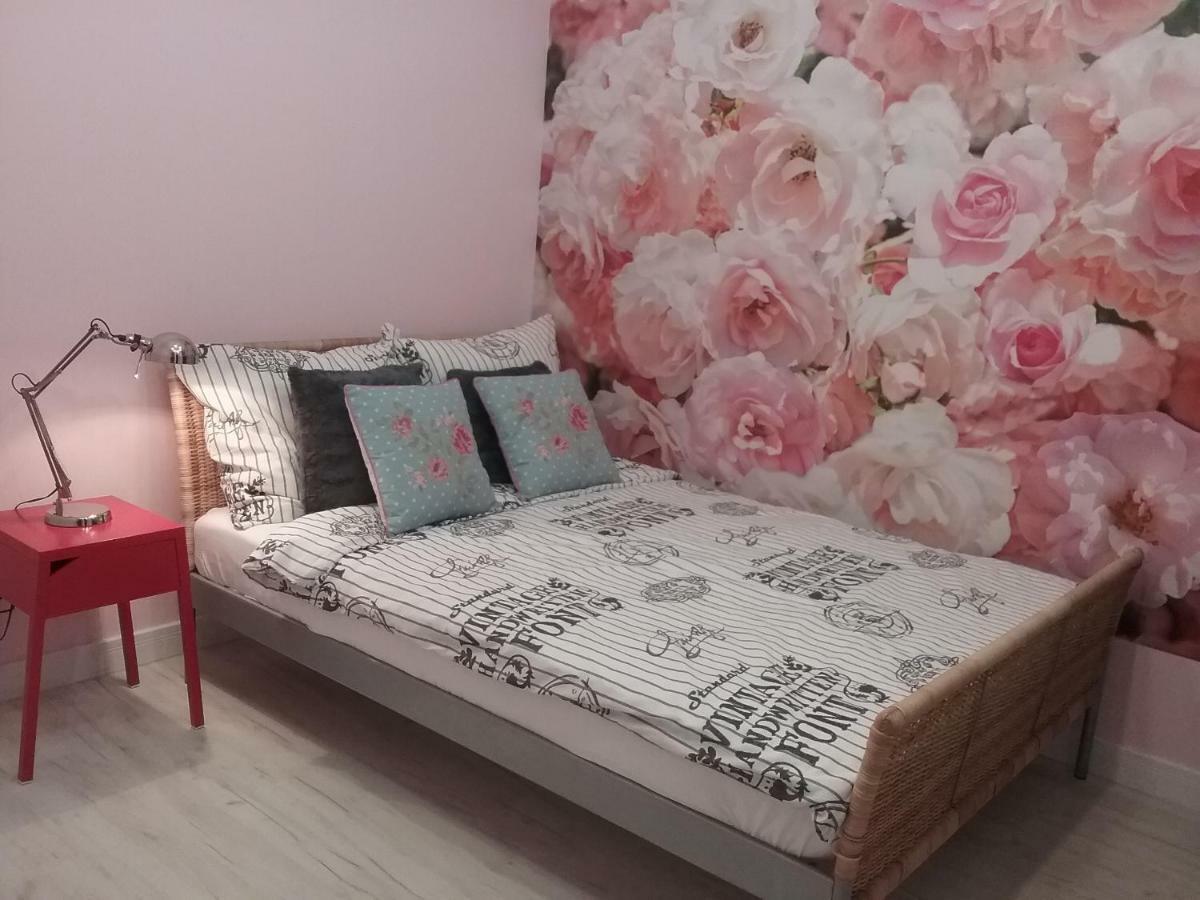 Vintage - Rose Apartament Torun Bagian luar foto