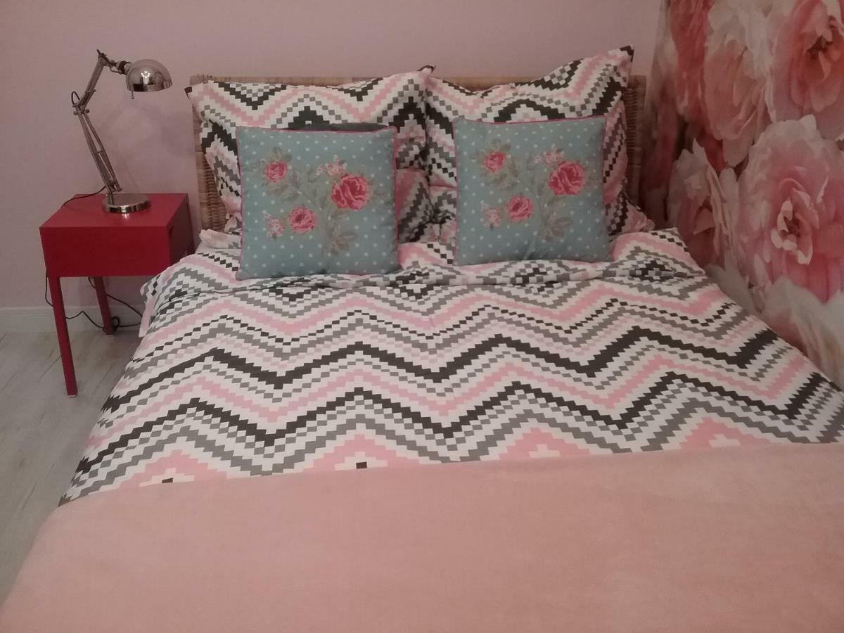 Vintage - Rose Apartament Torun Bagian luar foto